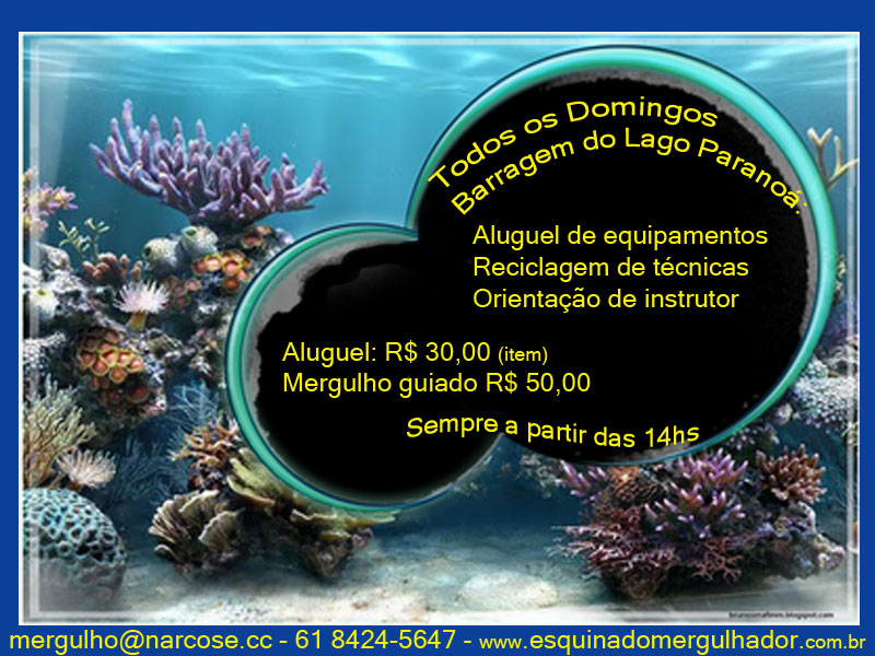 Curso b�sico